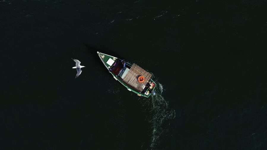 Ria Formosa: Armona and Culatra Islands 3-Hour Boat Tour - Price and value: what $35 buys you in real terms