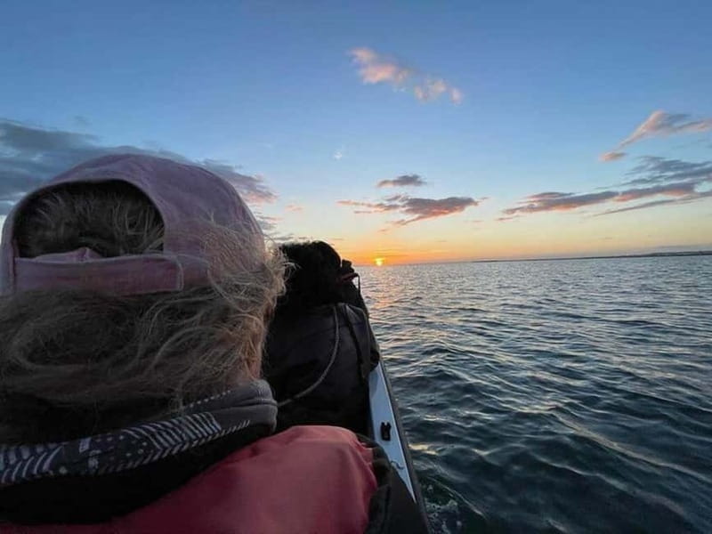 Ria Formosa: Armona and Culatra Islands 3-Hour Boat Tour - Should you book this Armona and Culatra 3-hour cruise?