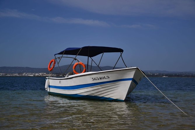 Ria Formosa - Boat trip to the 3 Islands: Armona | Culatra Island | Lighthouse - Price and Value: What $48.25 Really Buys