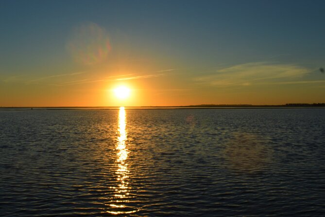 Ria Formosa & Ilhas: Sunset Boat Trip - Ilha da Armona: a calm island stop where the views do the talking