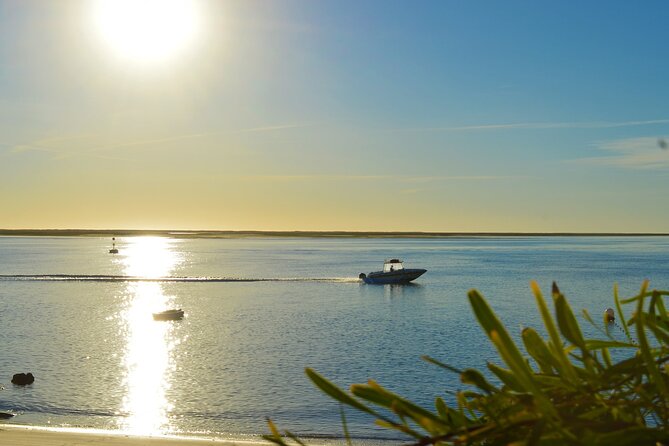 Ria Formosa & Ilhas: Sunset Boat Trip - Who this trip fits best (and who should temper expectations)
