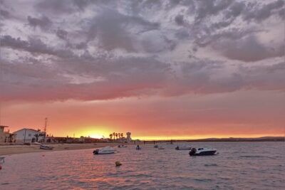 Ria Formosa Sunset 1 hour Boat Trip in Faro - Onboard Experience: Live Commentary and the Personal Touch From the Captain