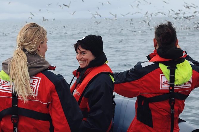 RIB Whale Watching Small-Group Boat Tour from Reykjavik - Puffins near Reykjavik: Akurey, Engey, or Lundey (seasonal quick stop)