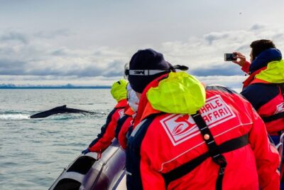 RIB Whale Watching Small-Group Boat Tour from Reykjavik - Meeting at Reykjavik Old Harbour and getting ready for the water