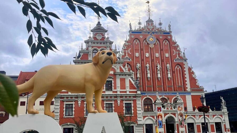 Riga: Canal Boat Tour with Drink & Old Town Audio Tour - Small-boat comfort and the limits you should plan around