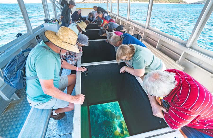 Rosslyn: Great Keppel Island Glass Bottom Boat Tour - Fisherman’s Beach Direct Access: Where Your Island Day Really Begins