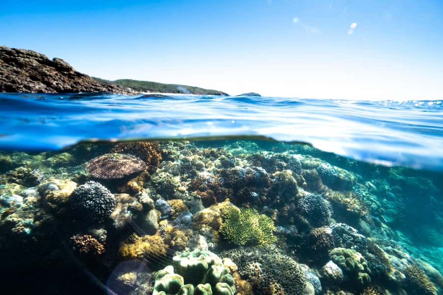 Rosslyn: Great Keppel Island Glass Bottom Boat Tour - Food on Great Keppel: Two Licensed Stops and Picnic Shade