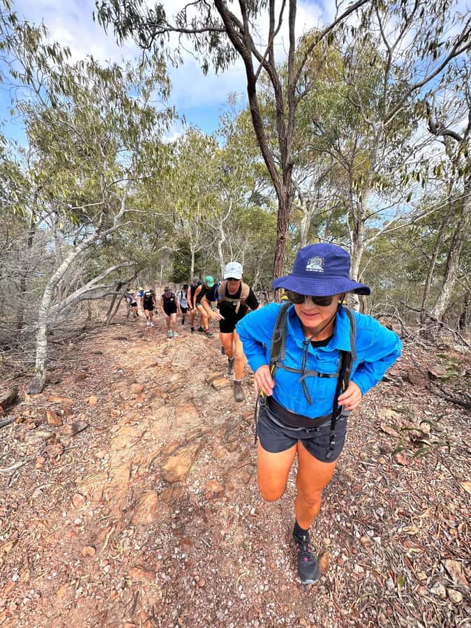 Rosslyn: Great Keppel Island Glass Bottom Boat Tour - Who This Day Trip Fits Best