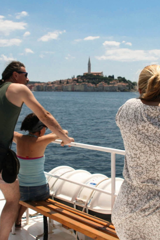 Rovinj: Lim Fjord and Pirate Cave Boat Tour - Where Lim Fjord fits in Istria (and why this tour makes sense)
