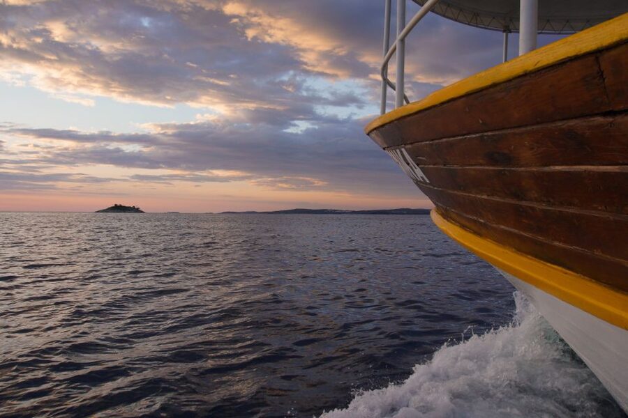 Rovinj: Sunset Boat Trip with Dolphin Watching - Meeting at Valdibora: Logistics That Actually Matter