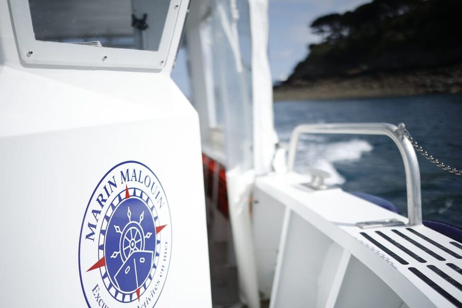 Saint-Malo: Guided Boat Tour with Local Captain - The boat ride itself: comfort, safety, and what waves feel like