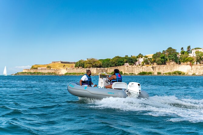 San Juan Mini Boat Tour - Price and value: $175 per group, up to 3