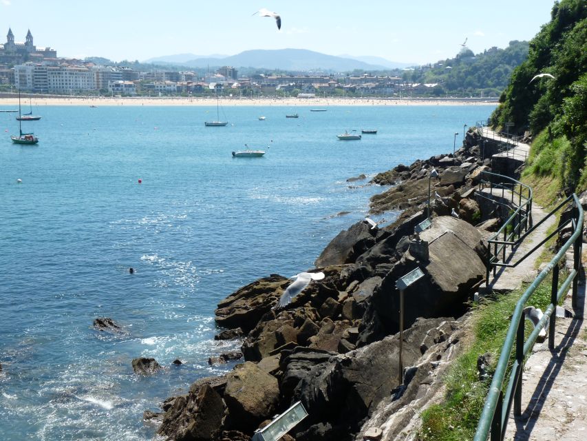 San Sebastian: Boat Tour with Stop at Santa Clara - Practical tips: swim gear, dogs, wheelchairs, and bad-weather reality