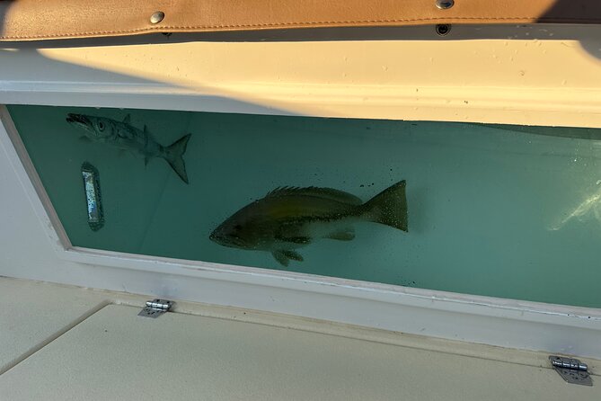 Santorini Fishing Private Cruise boat tour - BBQ, Snorkeling - Price of $514.18: Is It Worth It for Santorini Fishing and Snorkeling?