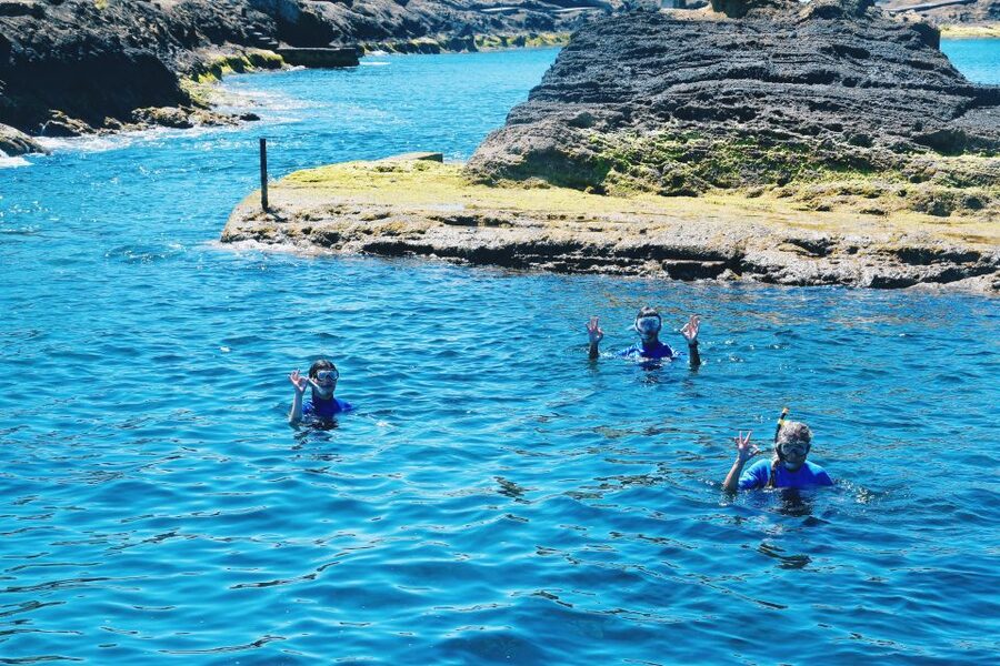 São Miguel: Glass Bottom Boat Tour with Snorkeling - Spotting sea life through the glass: fish, starfish, and sea cucumbers