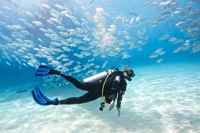 Scuba Diving Full Day Boat Trip for beginners With Lunch & Transfer – Hurghada - Morning pickup timing: the day starts early in Hurghada