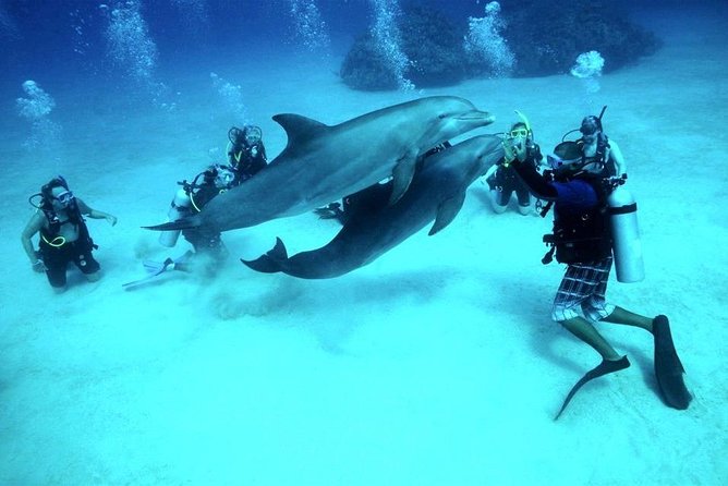 Scuba Diving Full Day Boat Trip for beginners With Lunch & Transfer – Hurghada - Second underwater stop: deeper water for those who want more
