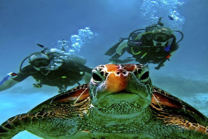 Scuba Diving Full Day Boat Trip for beginners With Lunch & Transfer – Hurghada - Equipment fit and safety: what to check on arrival