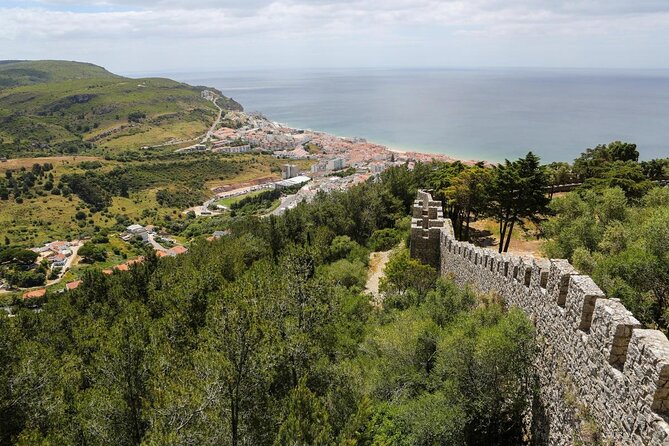 Sesimbra: Arrábida Dolphin and Whale Watching tour with biologist - Key things I think you’ll care about