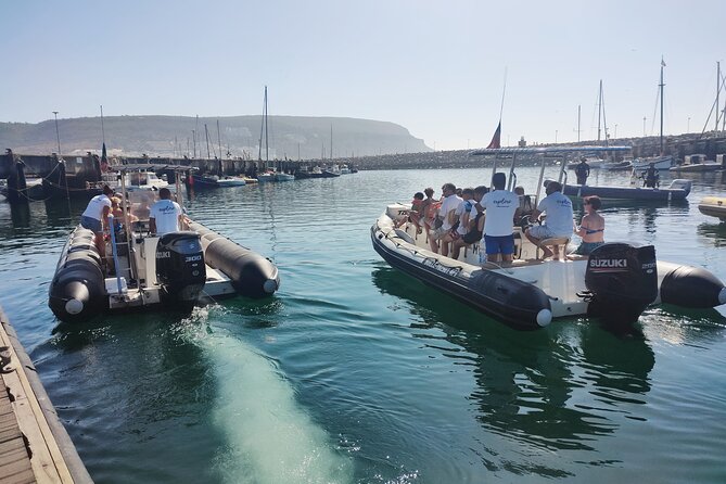 Sesimbra: Arrábida Dolphin and Whale Watching tour with biologist - Wildlife viewing rules that protect your experience