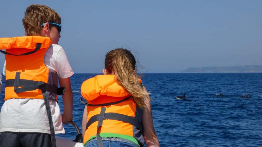 Sesimbra: Arrábida Dolphin Watching Boat Tour with Biologist - Ribeiro do Cavalo Beach: swimming and snorkeling time