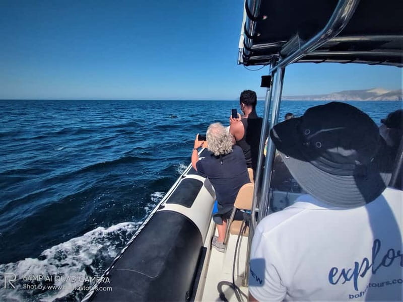 Sesimbra: Dolphin Watching Boat Tour with Biologist Guide - Arrábida’s dolphins from Sesimbra: the value of a 3-hour format