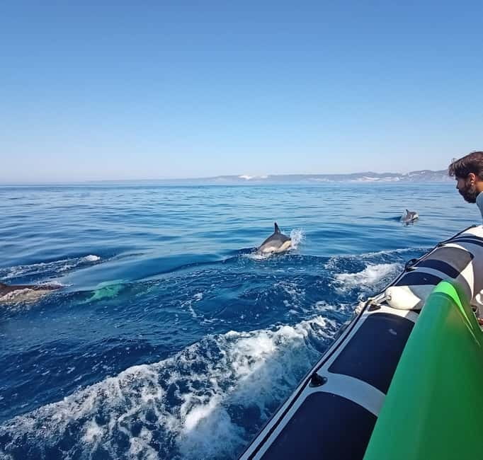 Sesimbra: Dolphin Watching Boat Tour with Biologist Guide - The boat ride itself: fast, safe, and slightly bumpy