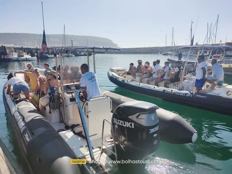 Sesimbra: Dolphin Watching Boat Tour with Biologist Guide - The biologist guide: what you learn while you’re scanning the waves