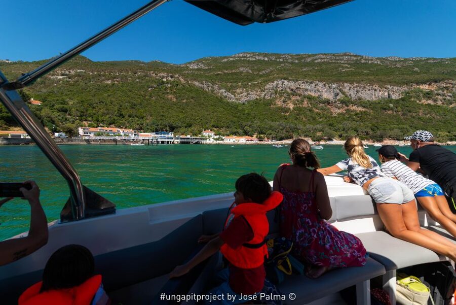 Setúbal: Dolphin Watching Boat Tour - Key things to know before you go