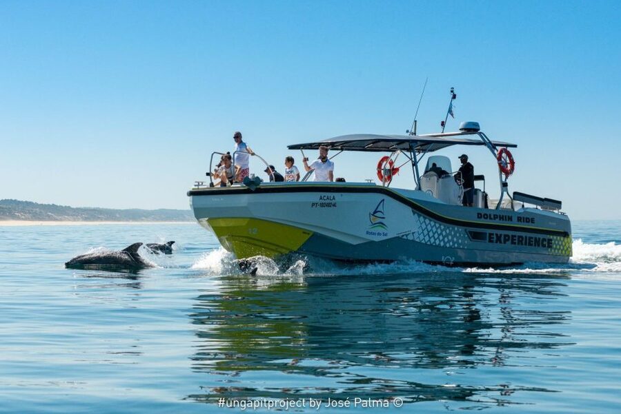 Setúbal: Dolphin Watching Boat Tour - Arrábida Natural Park segment: the views and the context