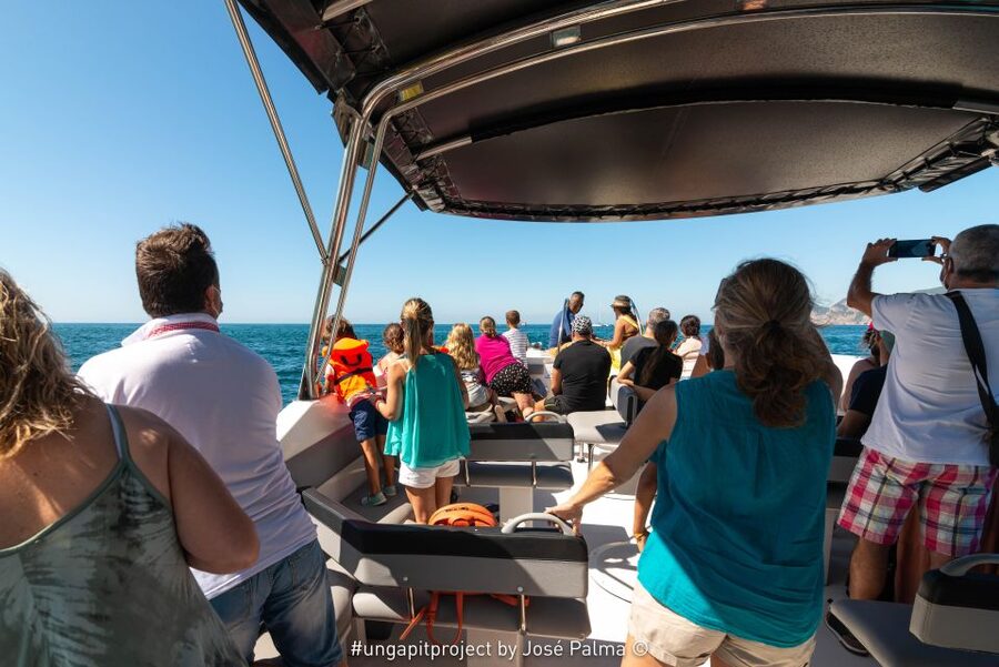 Setúbal: Dolphin Watching Boat Tour - Weather and what to wear: the sea breeze has opinions