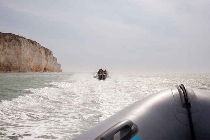 Seven Sisters Boat Trip - Wildlife Spotting: Dolphins, Seals, and Birdwatching From Your Seats