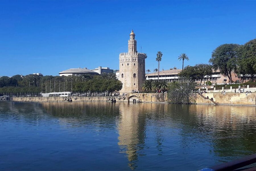 Seville: Guadalquivir Boat Tour with Optional Lunch/Dinner - The River Route: Torre del Oro, Real Maestranza, and Triana Bridge Views