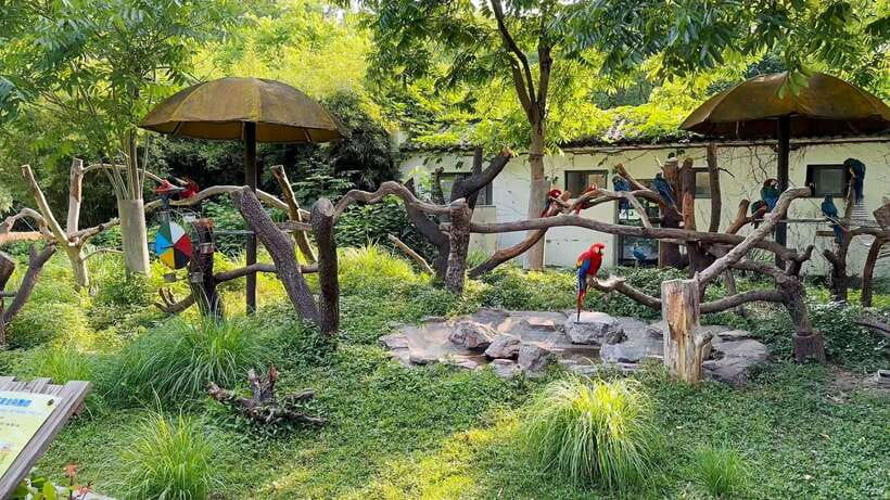 Shanghai: Zoo and Zhujiajiao Water Town Tour with Boat Ride - Photo and pacing tips you can use right away
