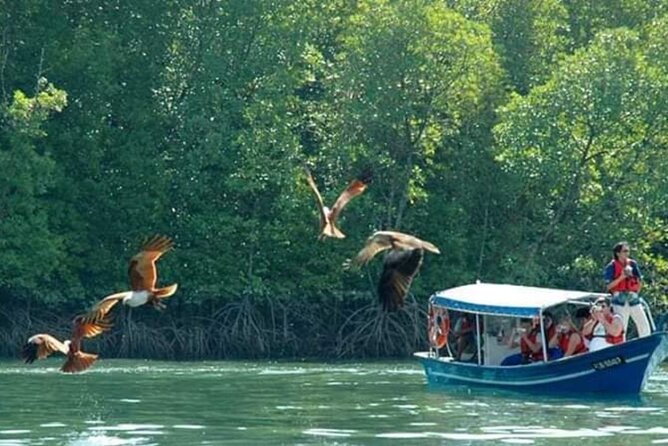 Sharing Half Day Kilim Geoforest Park Mangrove Boat Tour - Lunch on the Water: What You Get, What You Can Order, and Food Reality