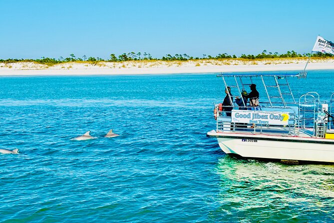 Shell Island Dolphin Sightseeing Boat Tour in Panama City Beach - What Happens on the Water: A 90-Minute Loop Around St. Andrews Bay and Shell Island
