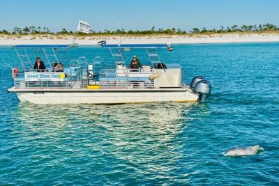 Shell Island Dolphin Sightseeing Boat Tour in Panama City Beach - The Crew Factor: How Captains Like Justine and Sophia Improve Your Chances