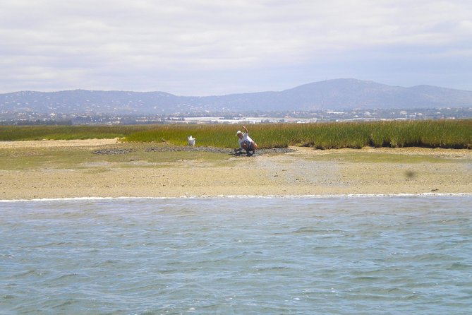 Short boat trip of the Algarve's Ria Formosa lagoon from Faro: 1 hour - What you’ll see in the lagoon: salt marshes, birds, and calm-water momentum