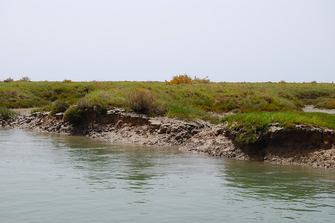Short boat trip of the Algarve's Ria Formosa lagoon from Faro: 1 hour - The finish: Faro Old Town views from the water