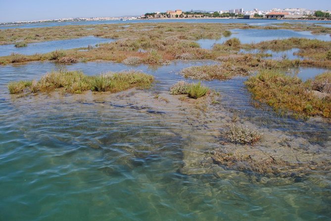 Short boat trip of the Algarve's Ria Formosa lagoon from Faro: 1 hour - Who this tour is best for (and who should choose longer)