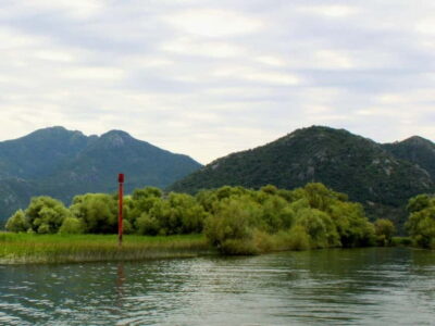 Short Skadar Lake Boat Tour to Morača River with Drinks - Virpazar Start: Check-In, Vouchers, and Parking Reality