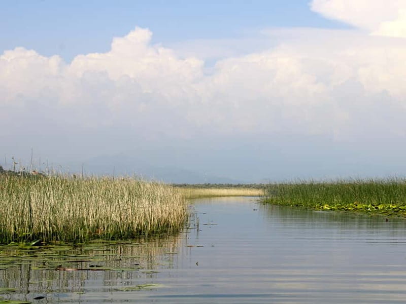 Short Skadar Lake Boat Tour to Morača River with Drinks - Morača River Focus: Birds, Ruins, and Albania on the Horizon