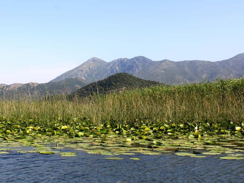 Short Skadar Lake Boat Tour to Morača River with Drinks - The Mid-Tour Swim: The Part You’ll Be Glad You Packed For
