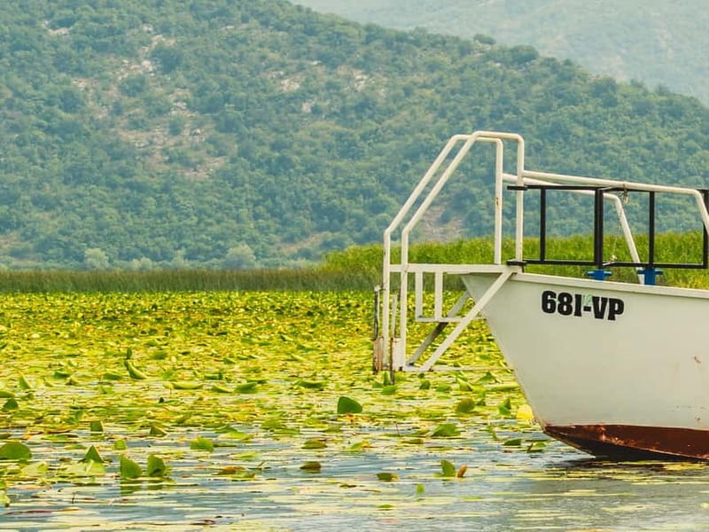 Short Skadar Lake Boat Tour to Morača River with Drinks - What It Feels Like to Be Here: Short, Guided, and Actually Enjoyable