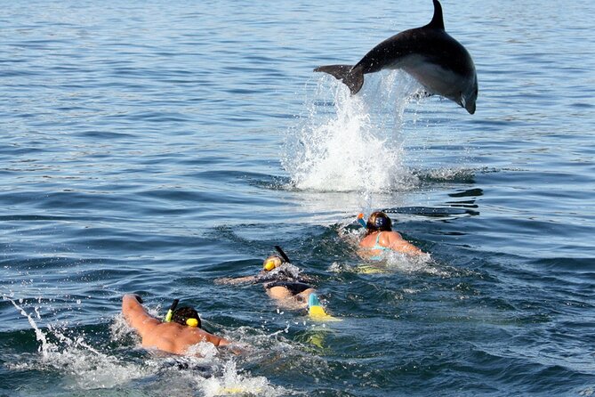 Side Dolphin Island Boat Trip With Lunch And Soft Drinks - From Your Hotel to Kumköy Pier by 8:30 am