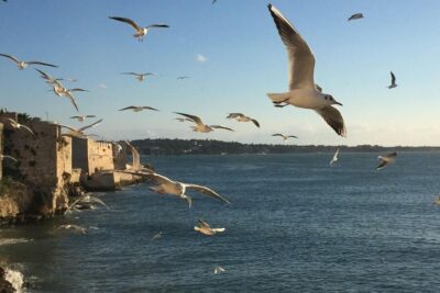 Siracusa: Ortygia Island Boat Tour with Grotto Visit - Sea caves and grotto stops: stalactites, stalagmites, and the Ear of Dionysius