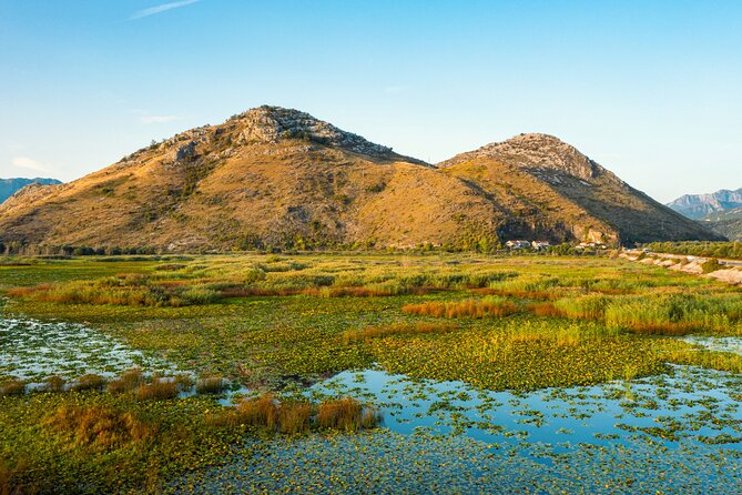 Skadar Lake National Park: Guided Boat Tour with Wooden Boat - Lotus Leaves and Those Three Islets: The Green-Leaf Moment