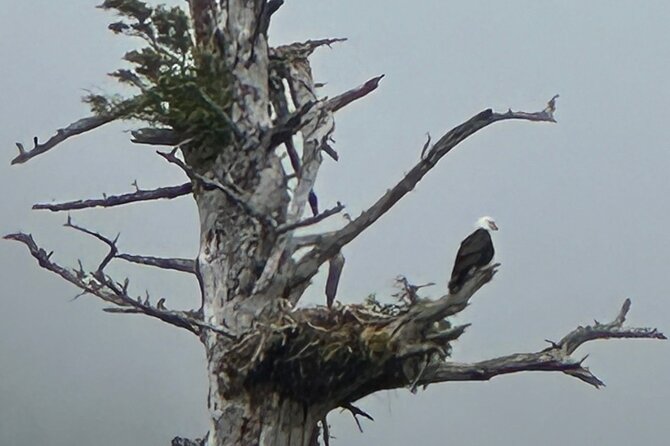 Small Group Boat Tour of Sitka - Key things that make this Sitka boat tour special