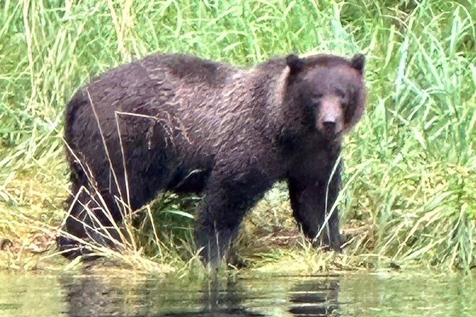 Small Group Boat Tour of Sitka - Sitka Sound is the star, and the boat size matters
