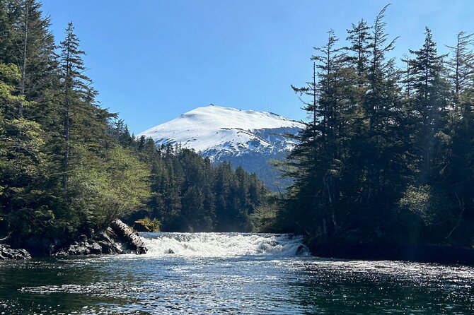 Small Group Boat Tour of Sitka - Whale spotting: when the day turns into a real show